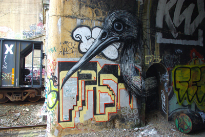 roa