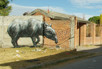 roa