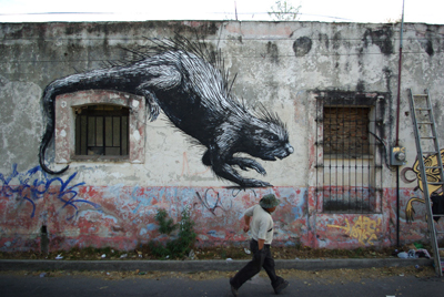 roa