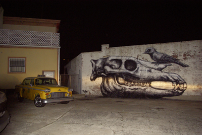 roa