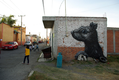 roa