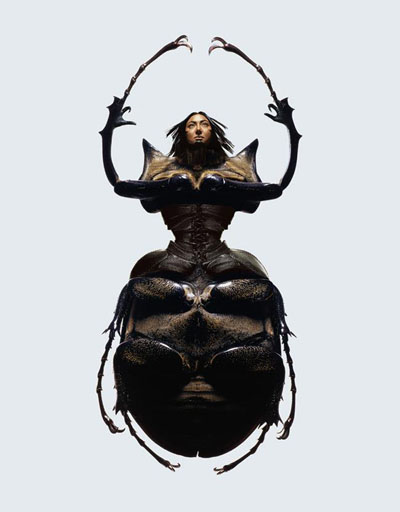 laurent seroussi insect